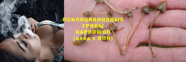 метадон Алзамай
