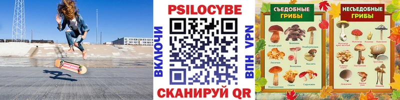 Псилоцибиновые грибы мицелий  Пущино 